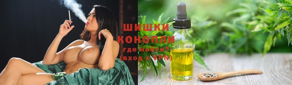Альфа ПВП Аркадак