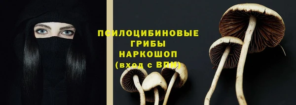 бошки Арсеньев