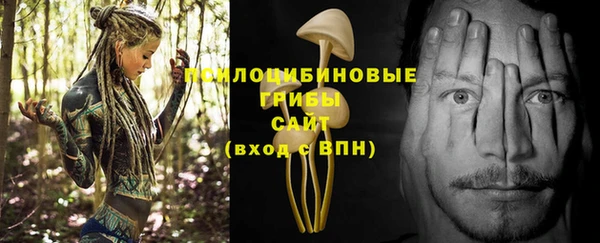 бошки Арсеньев